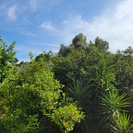 Green House Marathon - Greece Nea Makri Exterior photo