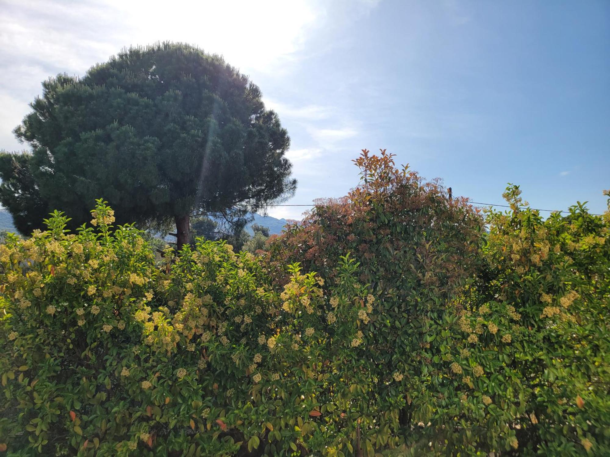 House Marathon - Greece Nea Makri