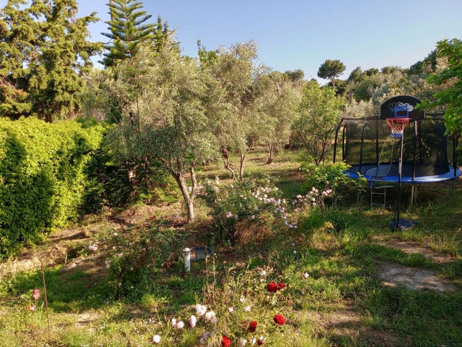 House Marathon - Greece * Nea Makri